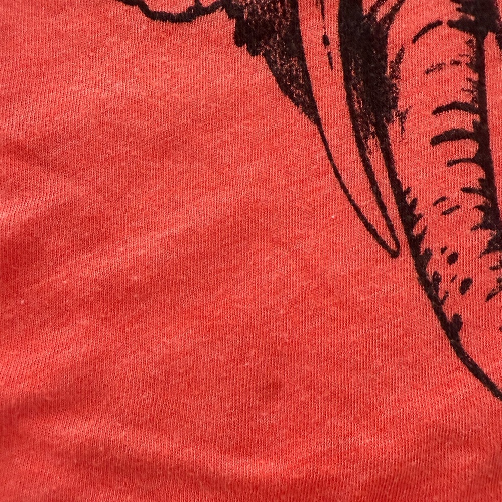 WILDFOX crop vintage graphic tee - small - Picture 5 of 6